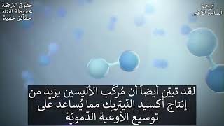 فوائد الثوم للقلب