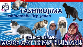 The Cat Island in Japan (Tashirojima): More Cat than Human Population جزيرة القطط في اليابان