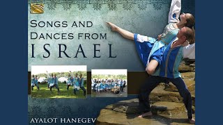 Video thumbnail of "Ayalot Ha'Negev - Hora meshaga'at (Wonderful Hora)"