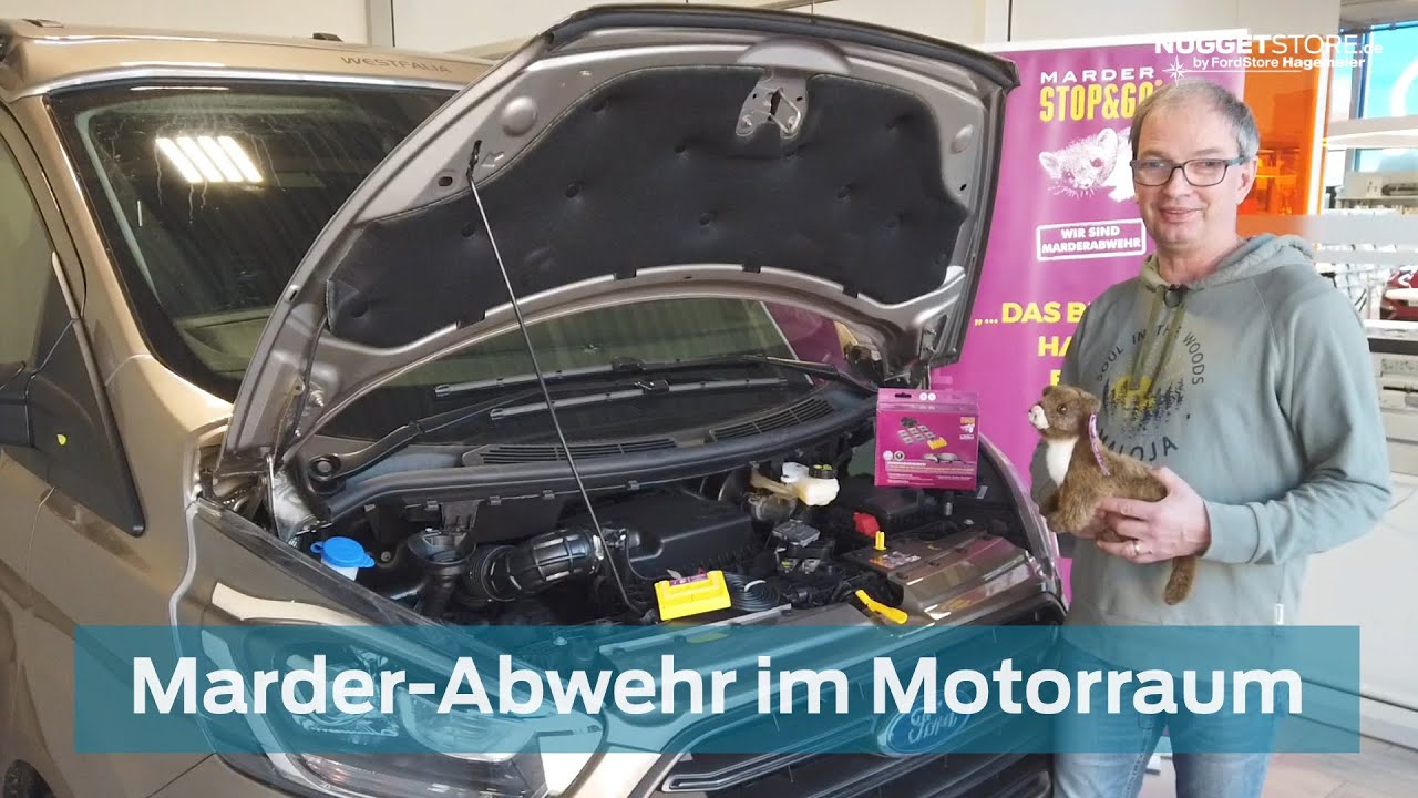 Kemo M176 Repellente Per Martore Ad Ultrasuoni Con Protezione Ottica - Foto 10