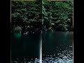 Spangle call Lilli line - forest at the head of a river [Full Album]