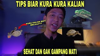 TIPS BIAR KURA KURA KALIAN GAK GAMPANG MATI!!! DIJAMIN SEHAT!!!
