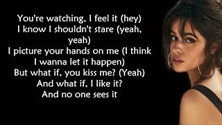 Camila Cabello - Liar (LYRICS)