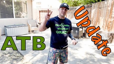 Amazon Tree Boas are so DOPE!