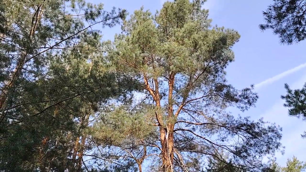 Если Вы решили уволиться...