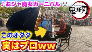 【ピアノドッキリ】もしも音楽祭を木の陰から見つめるアニメオタクがプロのピアニストだったら?(♪おジャ魔女カーニバル)