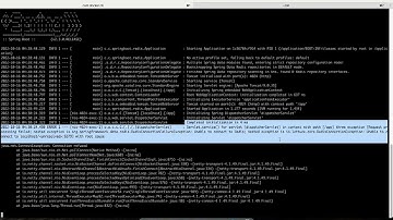 Spring Boot + Redis Clusters + Docker - Complete Guide: Finished but Still Error