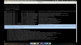 Spring Boot + Redis Clusters + Docker - Complete Guide: Finished but Still Error