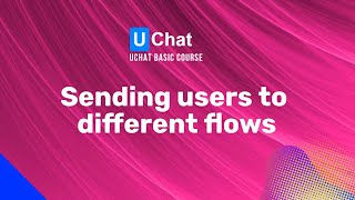 UChat Basics Course New Series - 52. Sending users to different flows