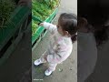 ست البنات حبيبتي ست البنات حبيبتي