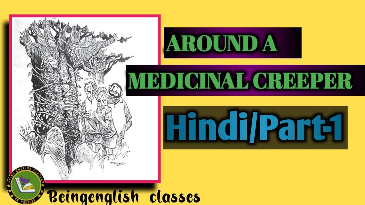 HindiAround a medicinal creeper lesson summary Part 11st Pucbeingenglishclasses YouTube