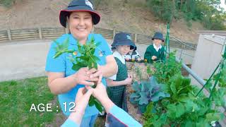 Big Fat Smile: Learn with us. Grown with us. Work with us | 45 sec TVC 2022