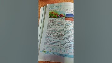 connect plus 4 unit 8 lesson 1  term 2