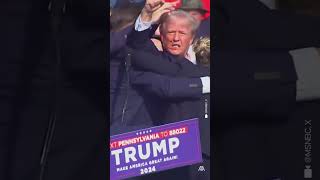 Trumpı Vurma Teşebbüsü