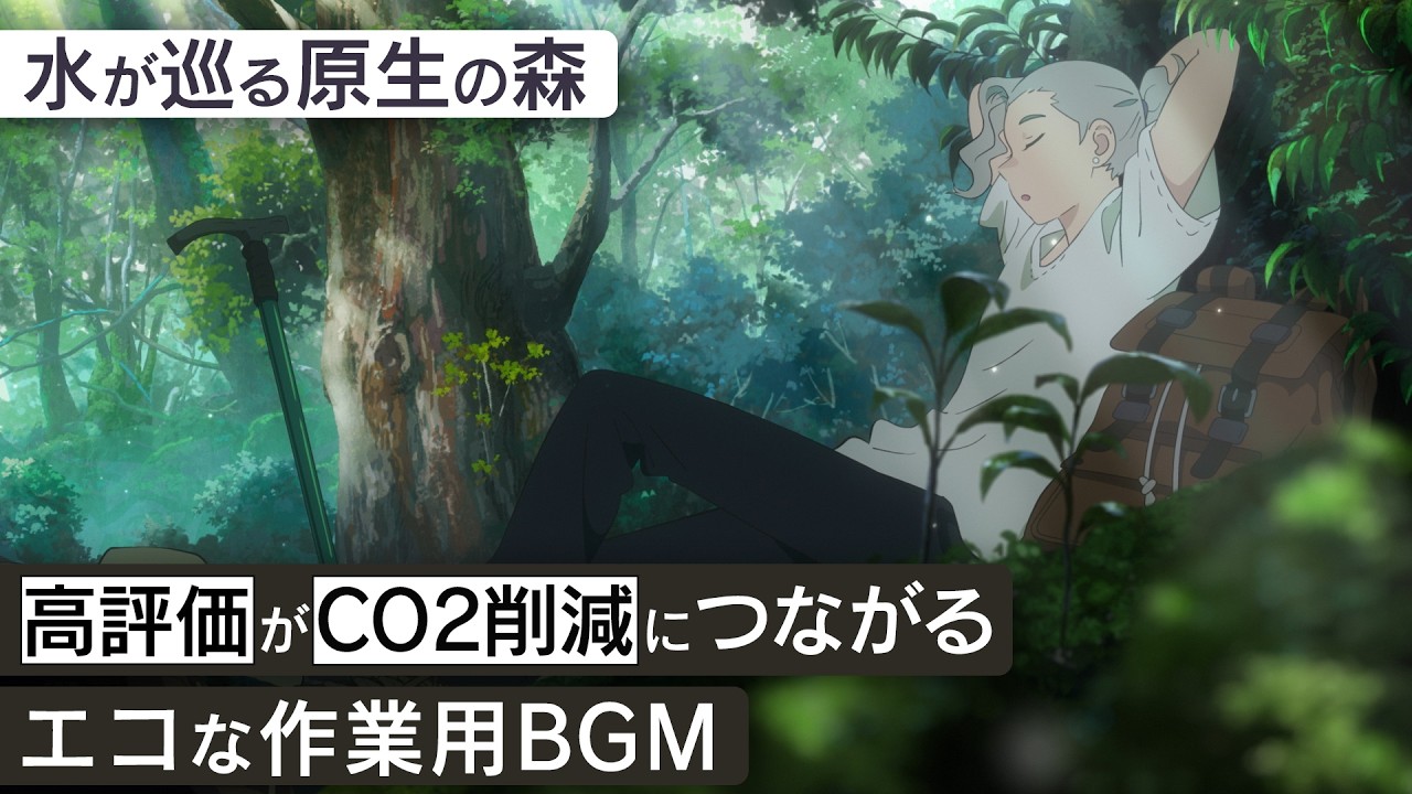 作業用BGM - 屋久島 | 水が巡る原生の森【睡眠/勉強/集中】