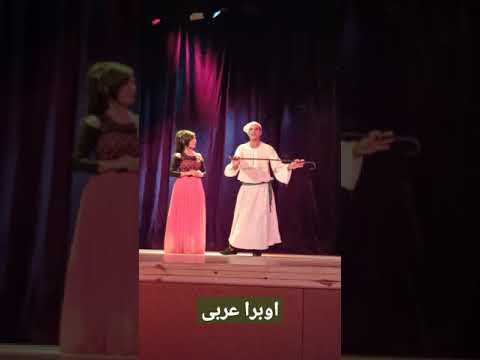 كلام جميل وكلام معقول مع فرقة اوبرا عربي