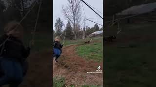 Hem Cok Mantikli Ama Sonucta Bi̇r Candir Ezi̇yet Etmi̇yeli̇m Hayvanlar Saygılar