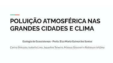 O que causa a poluição atmosférica nas grandes cidades?