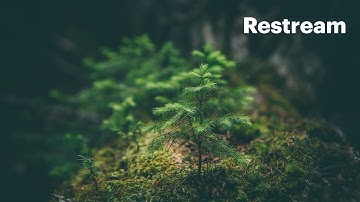 Stream via RTMP (Vmix) with Restream