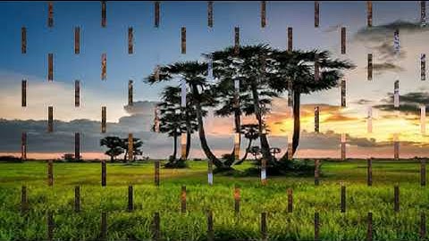 سورة هود برواية حفص عن عاصم