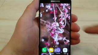 Beautiful winter live wallpaper with 40+ 2K winter photos for Android phones and tablets screenshot 4