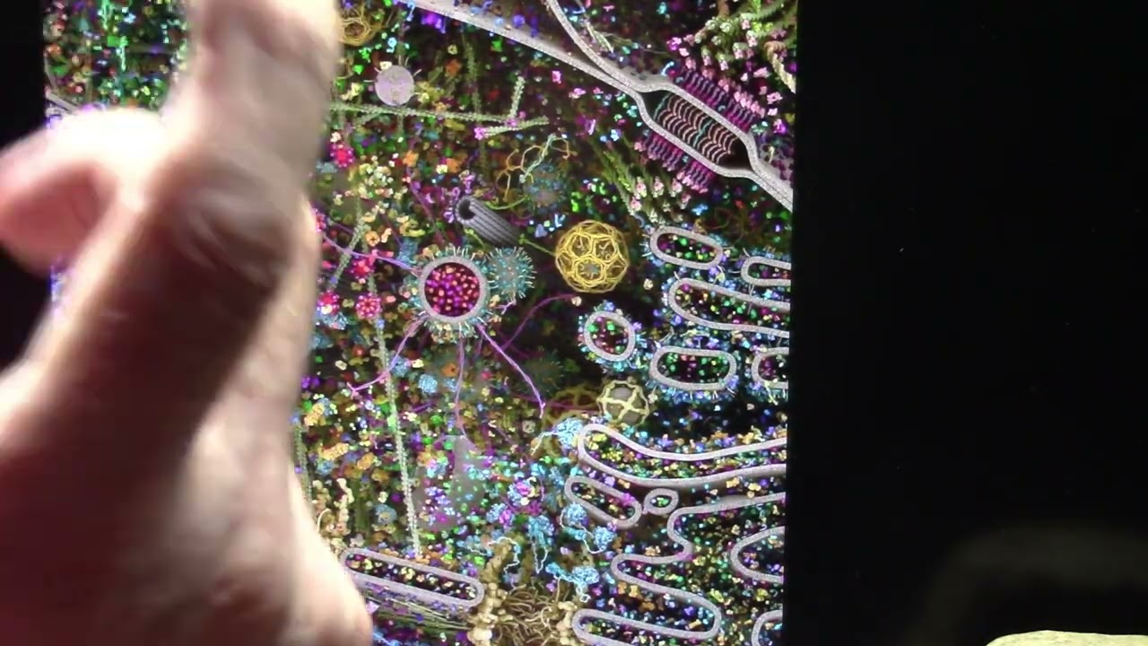 The Universe is Within us All - YouTube