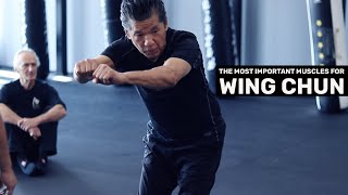 The Most Important Muscles For Wing Chun