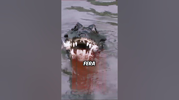 Fui pescar e acabei pegando um Jacaré #shorts #alligator #fishing