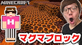 マインクラフト ハーフブロックの上だとスケルトンが超高速 速度調査してみた ヒカキンのマイクラ実況 Part169 ヒカクラ Youtube