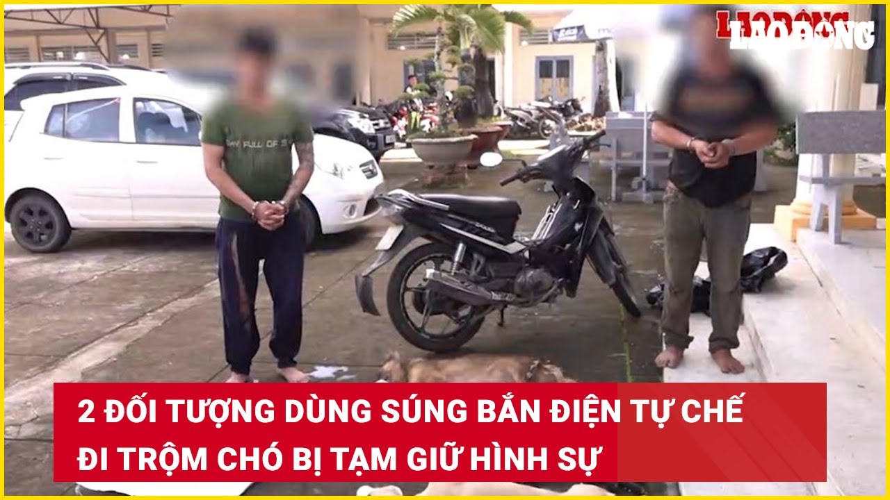2 đối tượng dùng súng bắn điện tự chế đi trộm chó bị tạm giữ hình sự | Báo Lao Động
