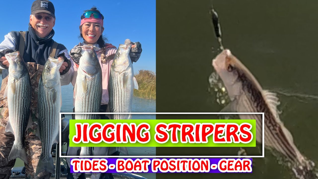JIGGING STRIPERS for 50 Fish Days (Tides, Boat Positioning, Gear & Tackle)! YouTube