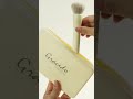6pcs Travel Makeup Brush Set | Private Label Manufacturer