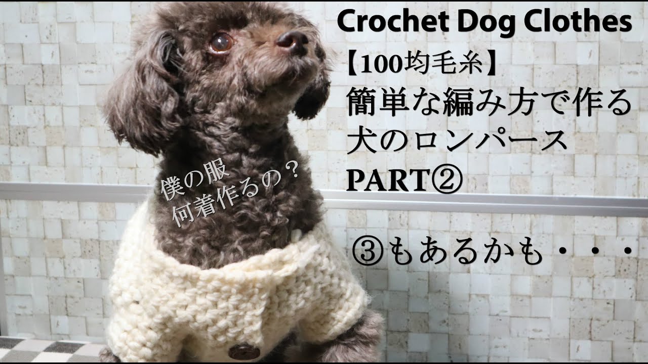 100均毛糸 簡単な編み方で作る犬のロンパースpart 編み始めました Crochet Dog Clothes 犬服作り方 Youtube