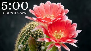 Celebrity 4K 5 Minute Timer - Blooming Flowers with Relaxing Music Wealth