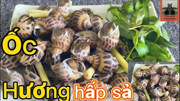 Ốc Hương, ốc hương hấp sả,cách hấp ốc hương thơm mùi - sả-gừng - dứa, sạch cát và nhớt #36