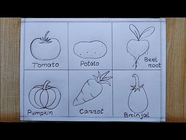 vegetables drawings | Easy Drawing Guides