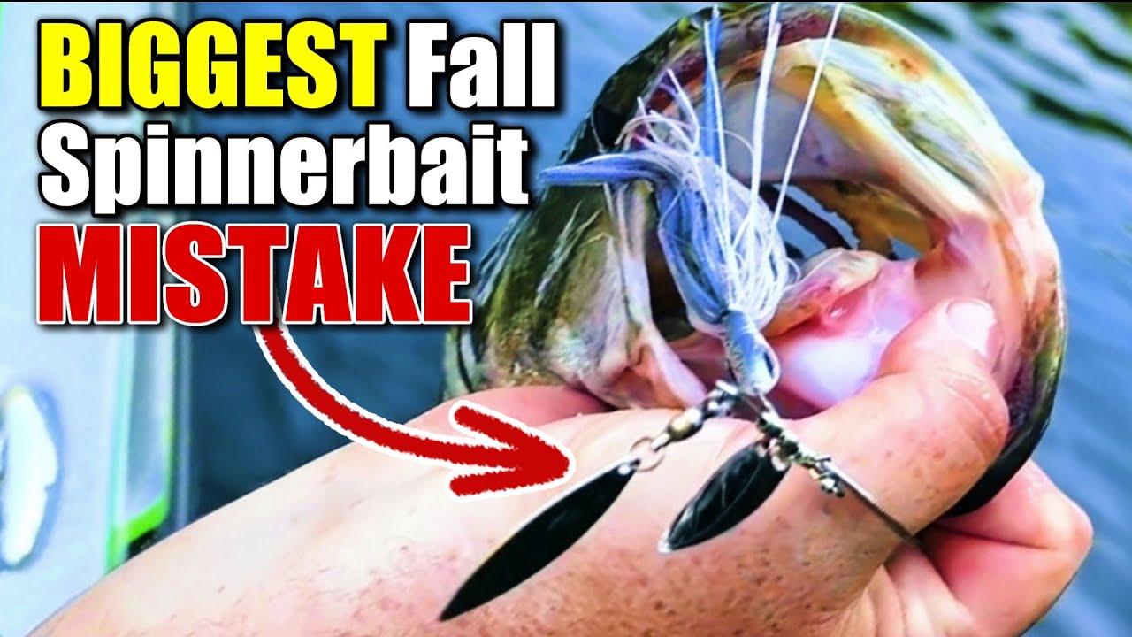 The BEST Spinnerbait Trick for FALL FISHING
