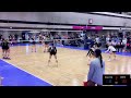 TX432 14 Gold vs Arete 14 Navy