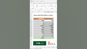 Pad Numbers with Zeros in Excel | #excelshorts #excelreels