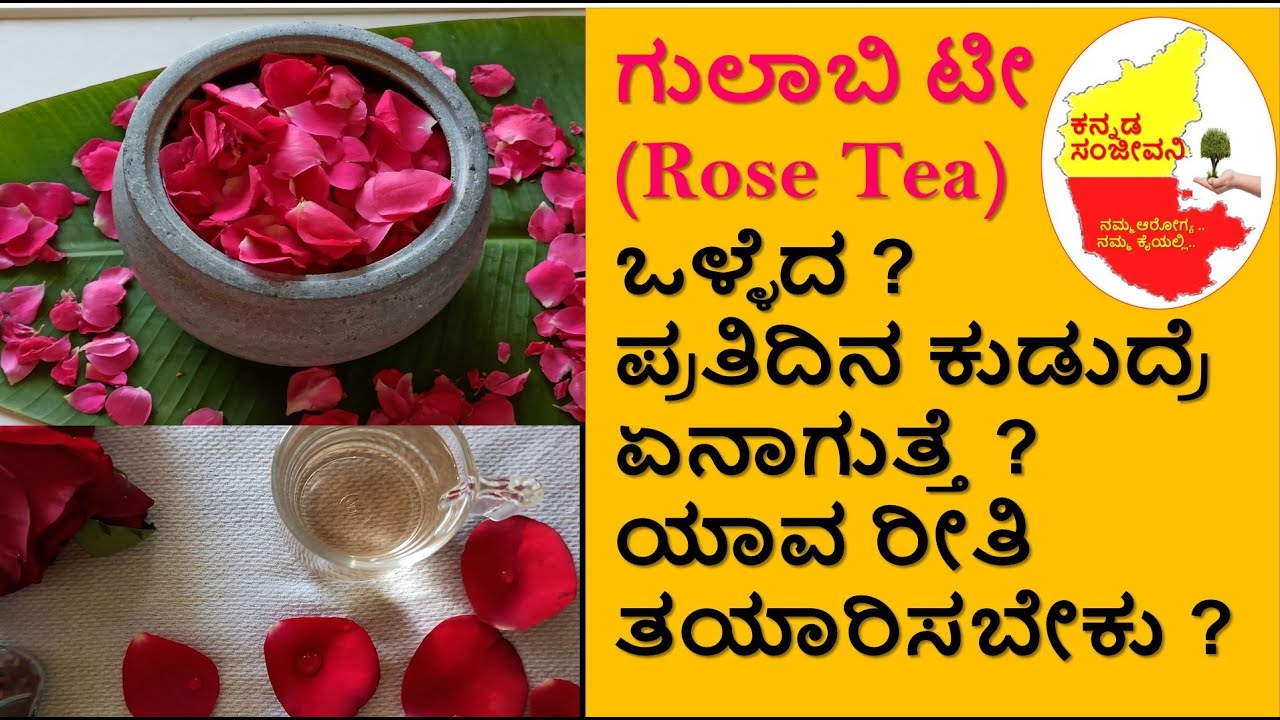 Health benefits of Rose Tea in Kannada How to prepare Rose Tea in