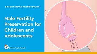 Male Fertility Preservation for Children and Adolescents