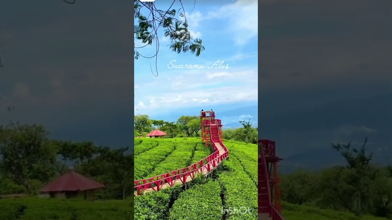 Bukit Kuner Wayah Sore #malang #jawatimur #jawabarat