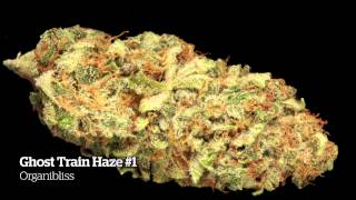 2014 HIGH TIMES Michigan Medical Cannabis Cup Entries Part 2