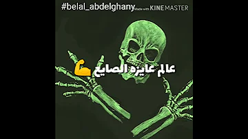 حالات واتساب مهرجان ضايع شاري وقالو انا بايع 