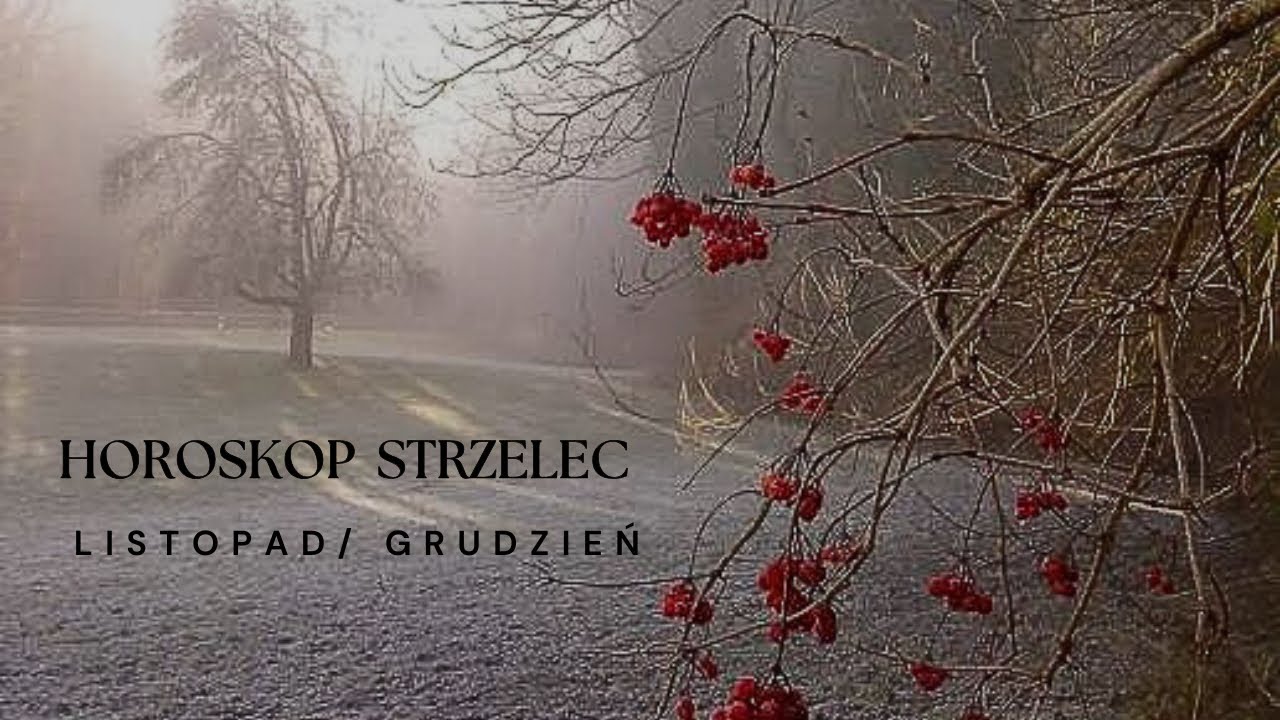Horoskop Strzelec Listopad/ Grudzień💫