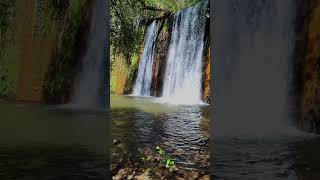 nature videos | Transition Alert#aesthetic #pcediting #love #proediting