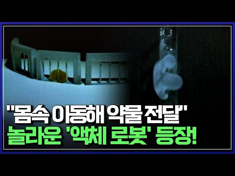 &amp;#39;어떻게 이렇게 움직이지?&amp;#39; 자유자재로 분리하고 합체하는 &amp;#39;액체 로봇&amp;#39; 등장! | 브라보 K-사이언티스트 [반복재생]/YTN 사이언스