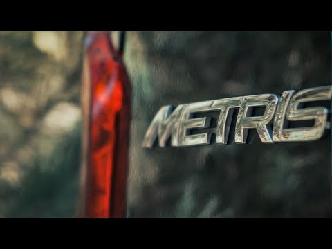 Mercedes Metris / лучший автомобиль для бизнеса / V-class или грузовик VITO?