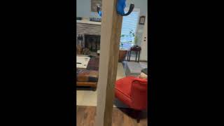 DIY Coat Tree: Transforming any Piece into a Stylish Entryway Statement#shorts #woodworking #finish by Professor DIY 13 views 2 months ago 1 minute