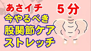 【NHKあさイチ】股関節ケア＆５分簡単ストレッチ